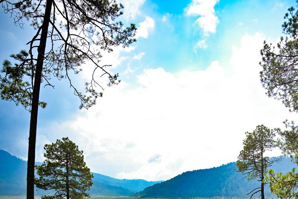 Vistas