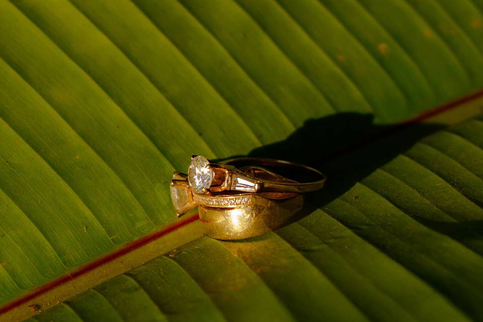 Anillos R & H