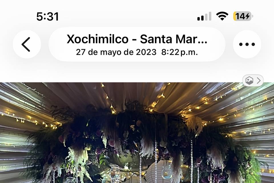 Momento de ensueño