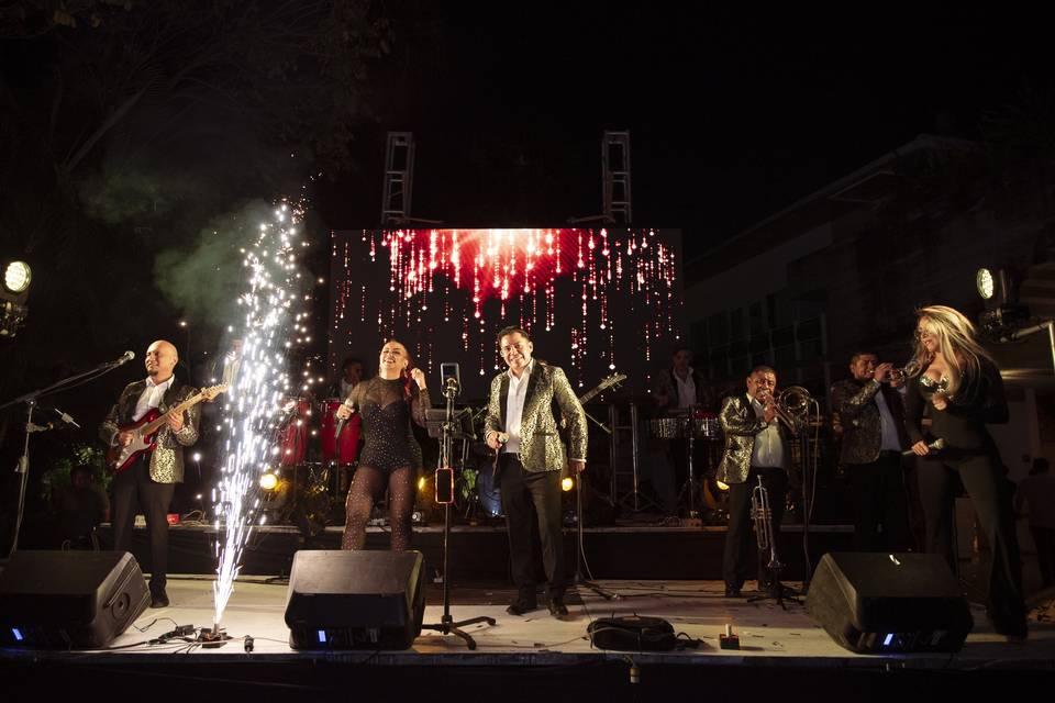 Show