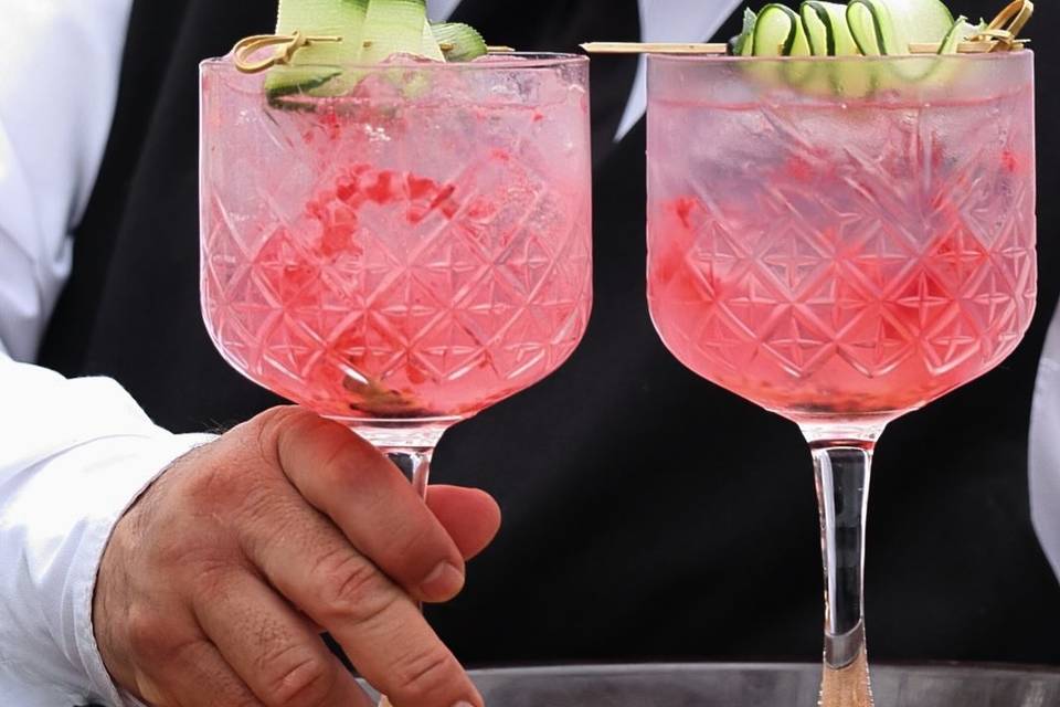 Gin frutos rojos