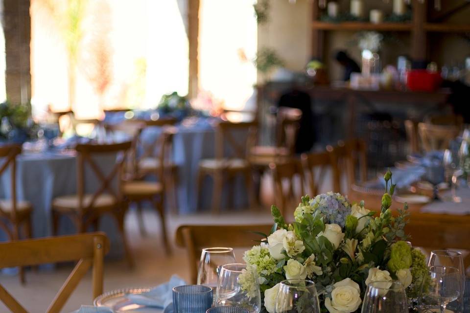 Massieu Ruiz Event Planner