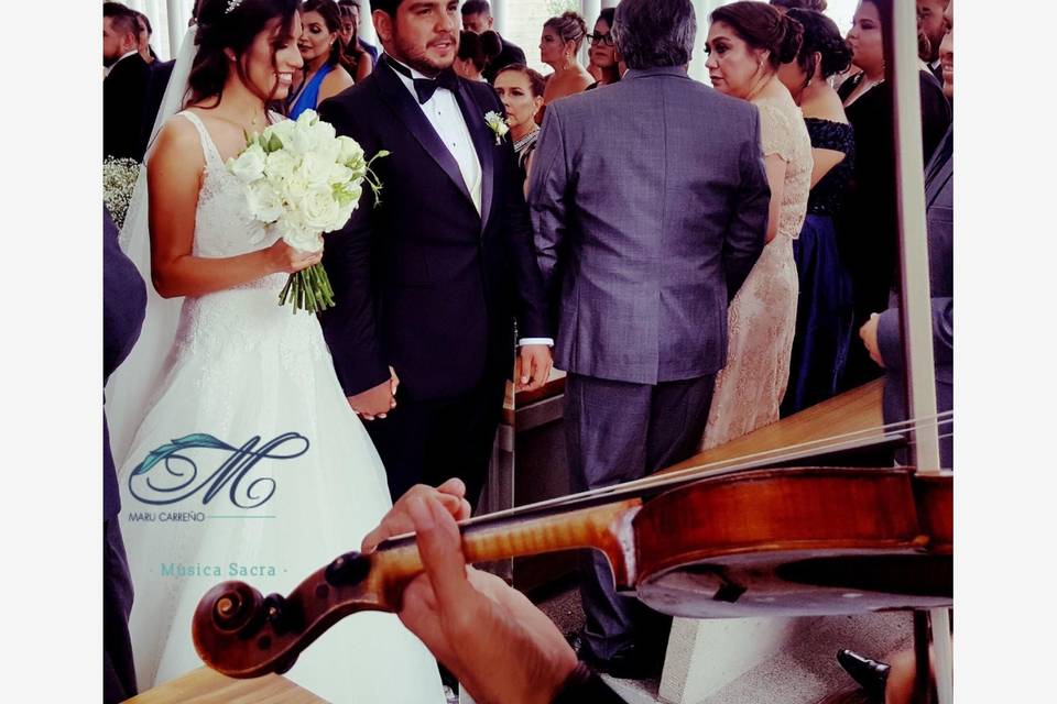 Bodas