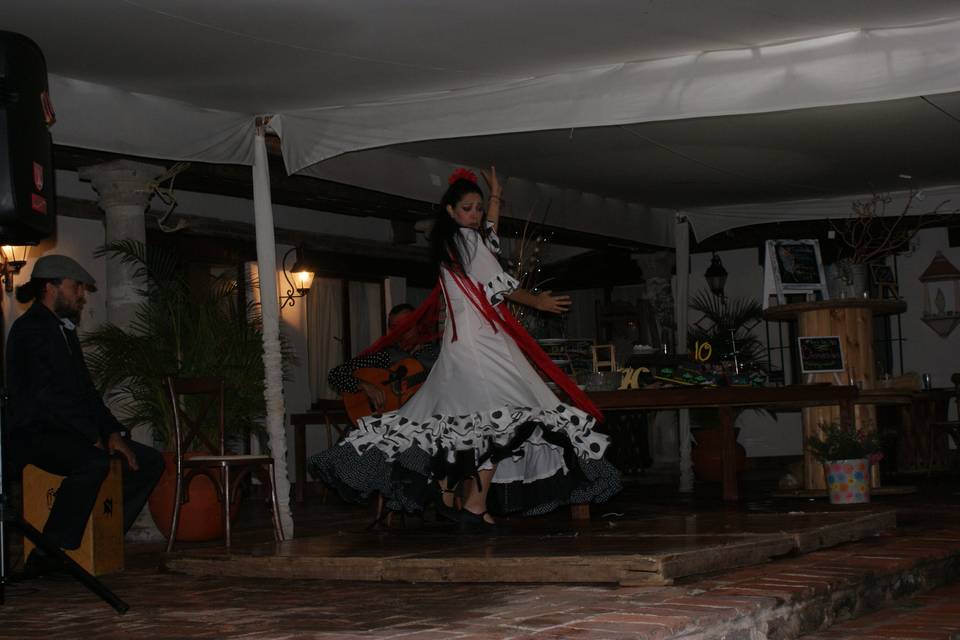 Grupo flamenco