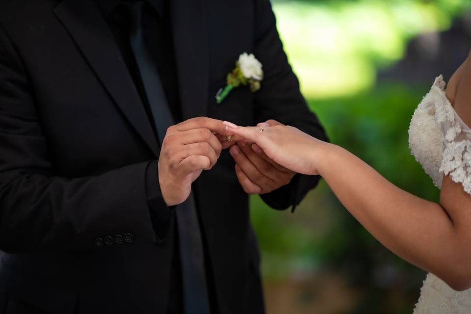 Wedding M & E