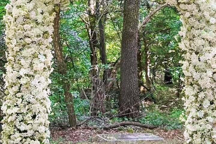 Ambiente natural con arco de flores blancas