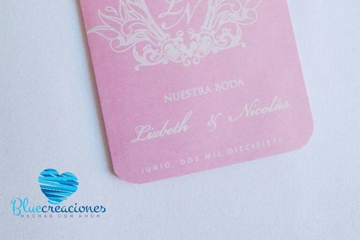 Modelo Passport Rosa