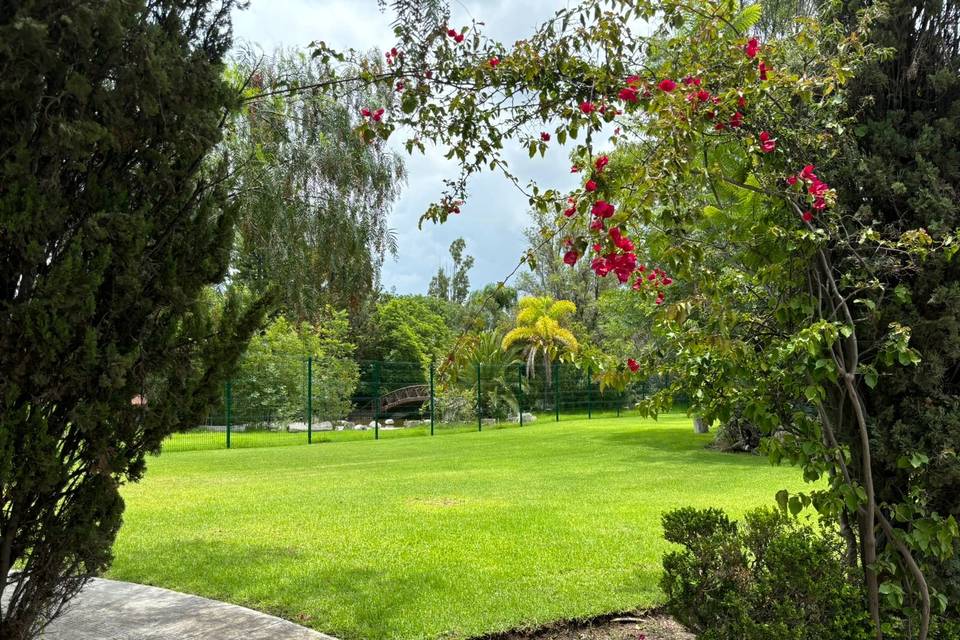 Jardín con flores