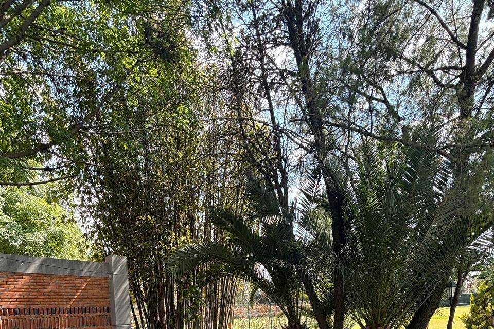 Terraza para cóctel bienvenida
