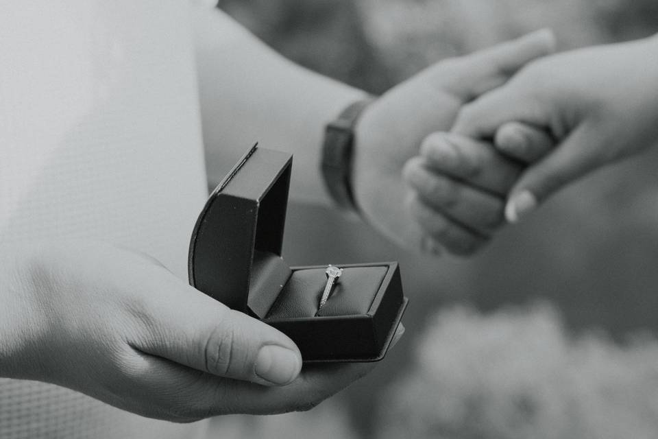 Pedida de mano