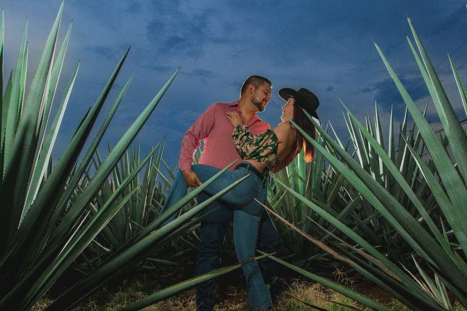 Pareja entre agave
