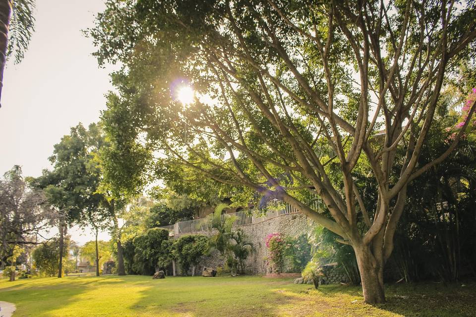 Hermoso jardín