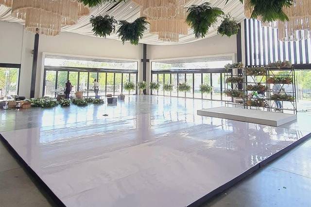 Pista de baile blanca
