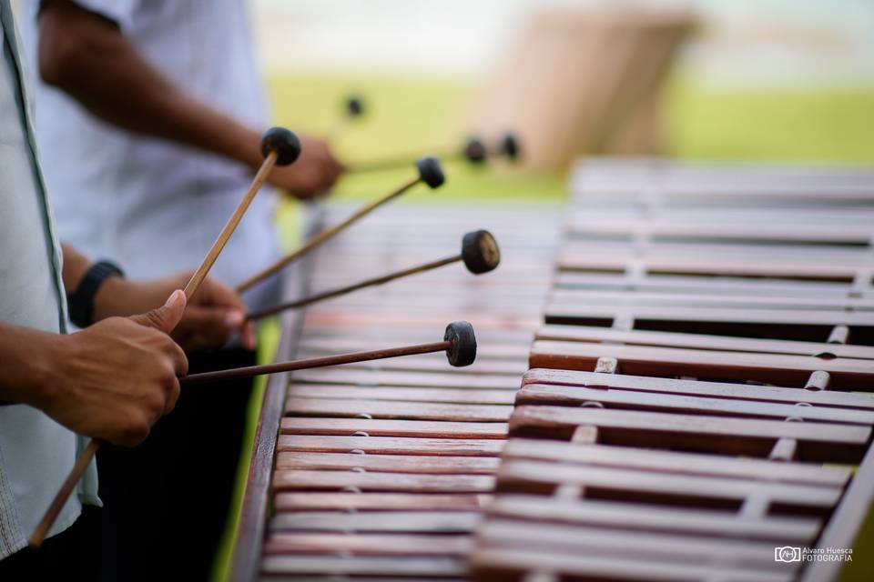 Innoven la música de llegada