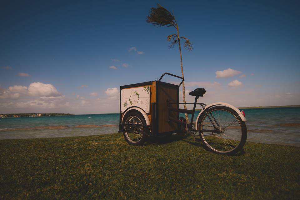 Carrito paletas