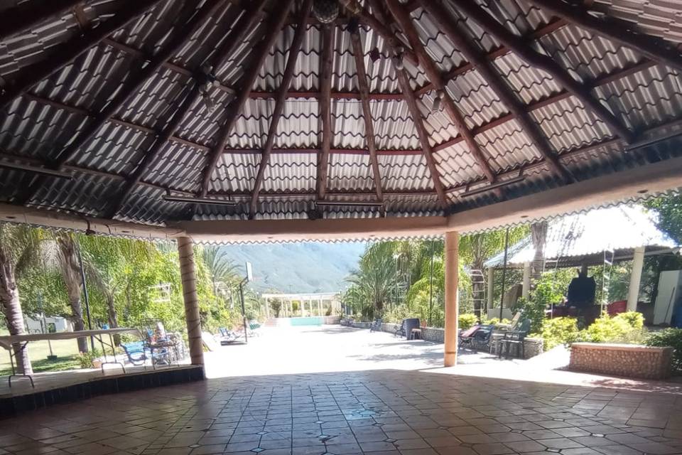 Palapa