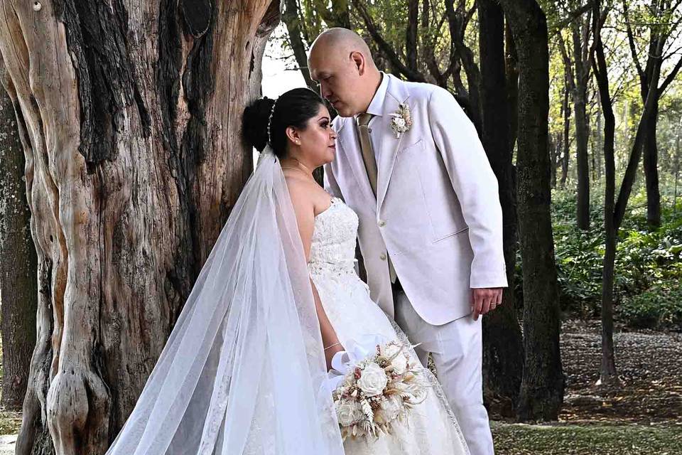 Trash the dress