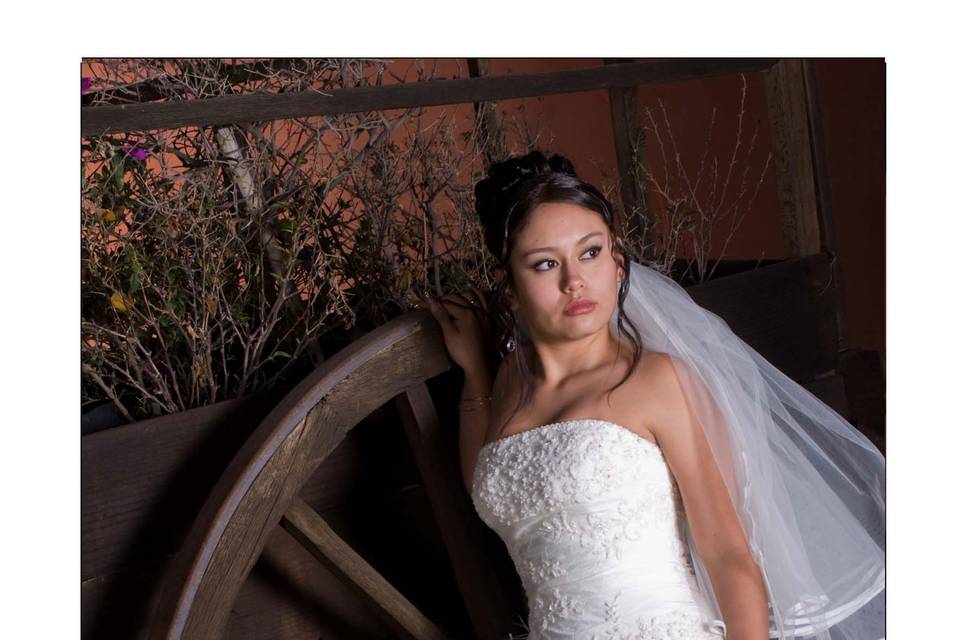 Trash the dress