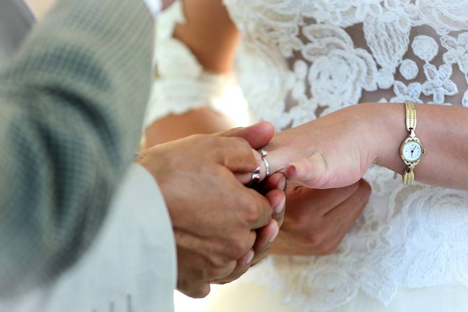 Anillos