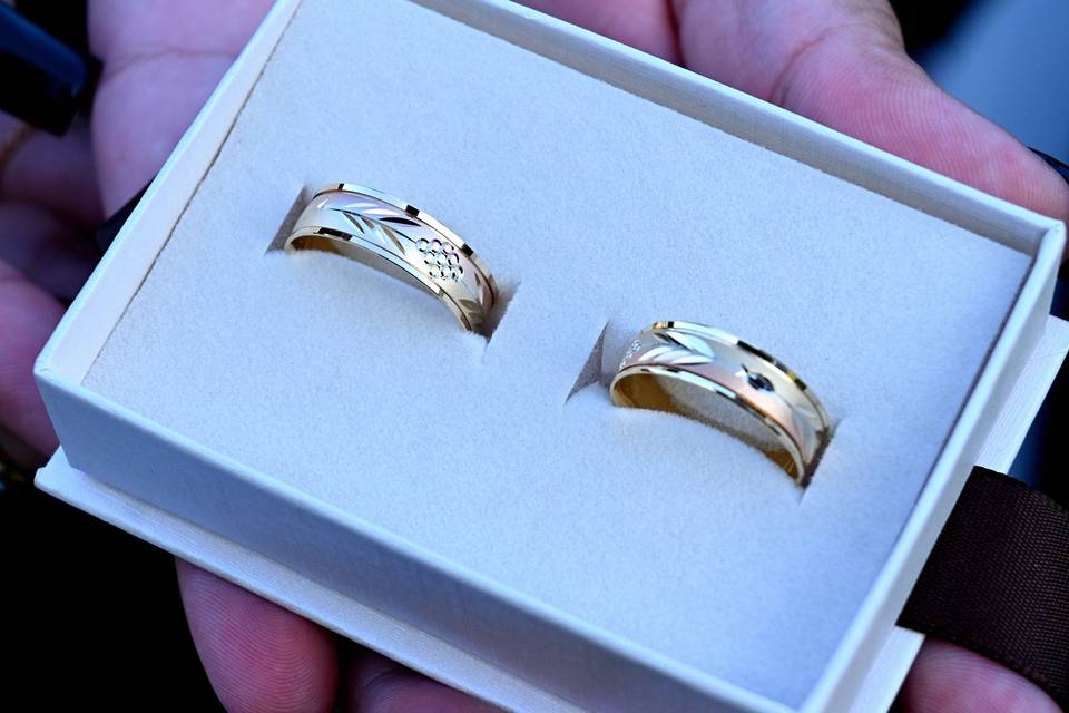 Anillos