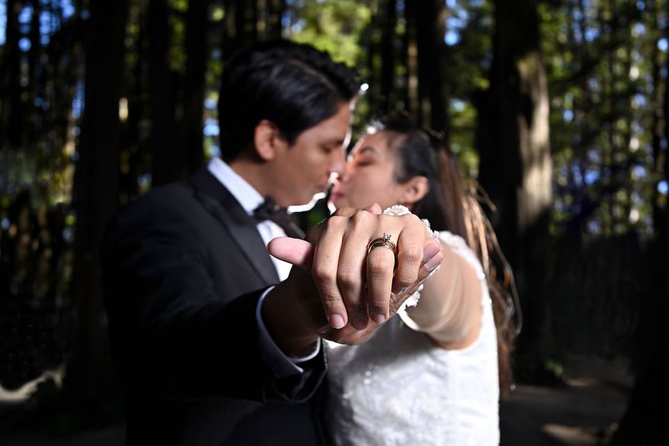 Trash the dress