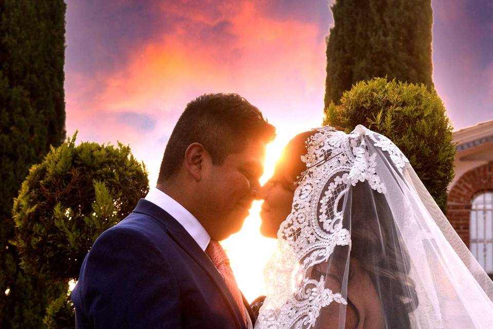 Trash the dress