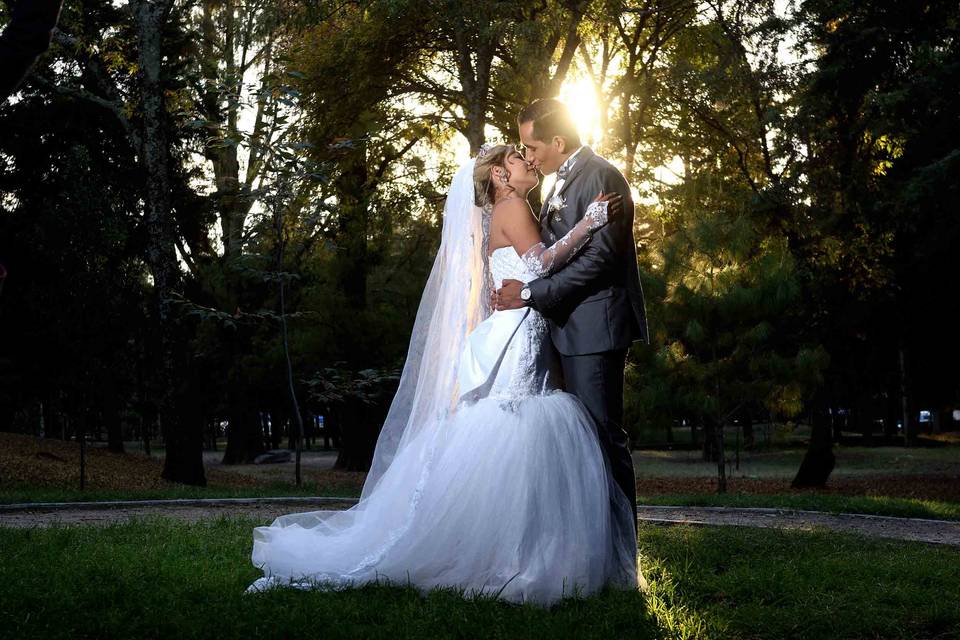 Trash the dress