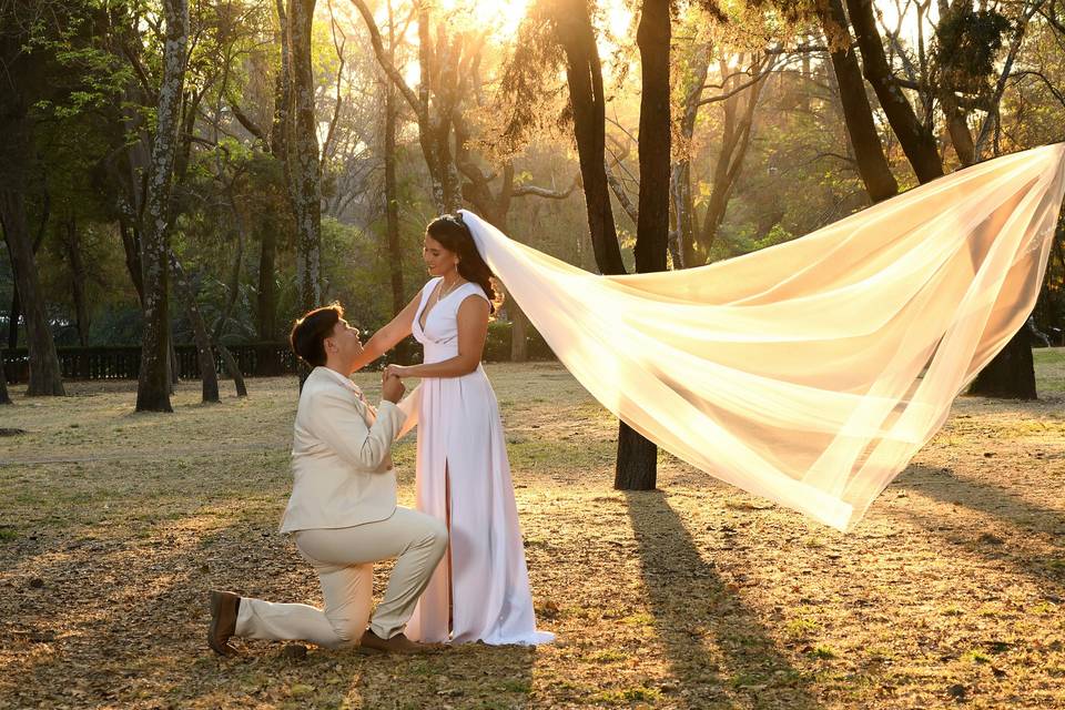 Trash the dress