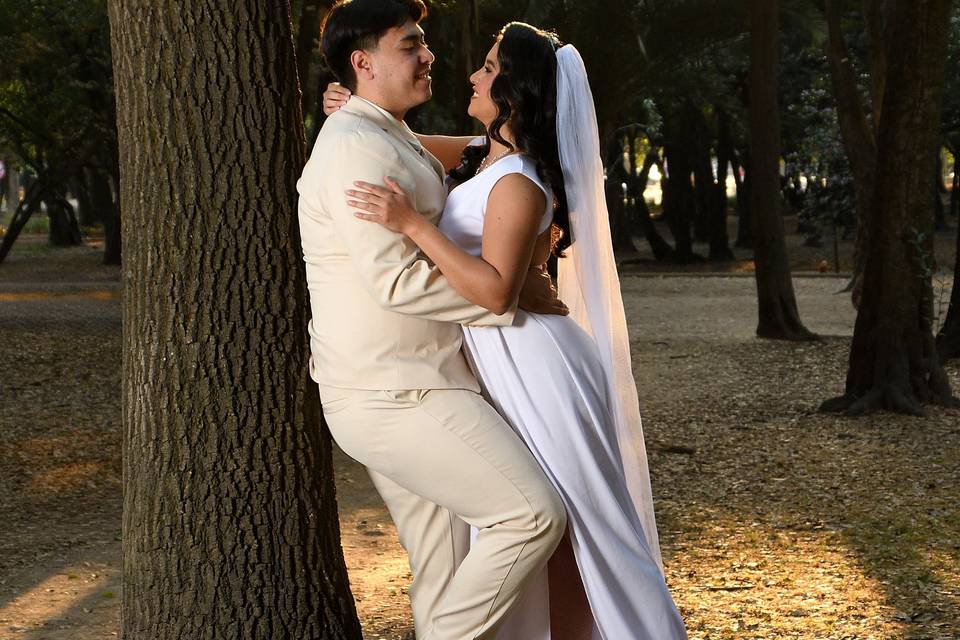 Trash the dress