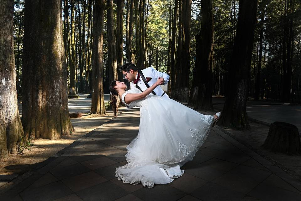 Trash the dress