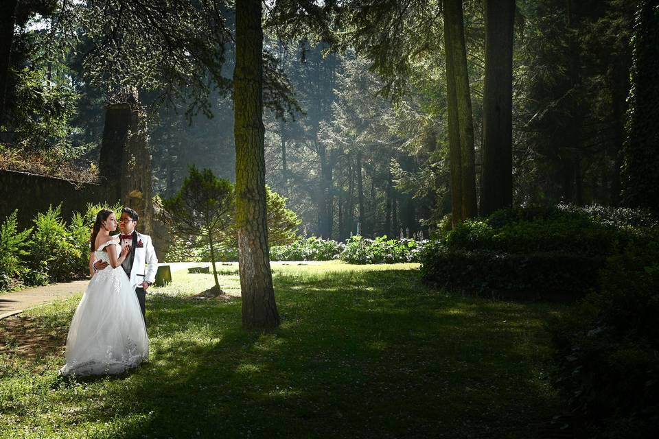 Trash the dress
