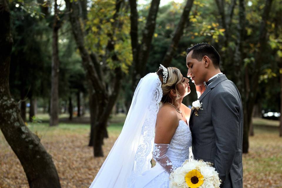 Trash the dress