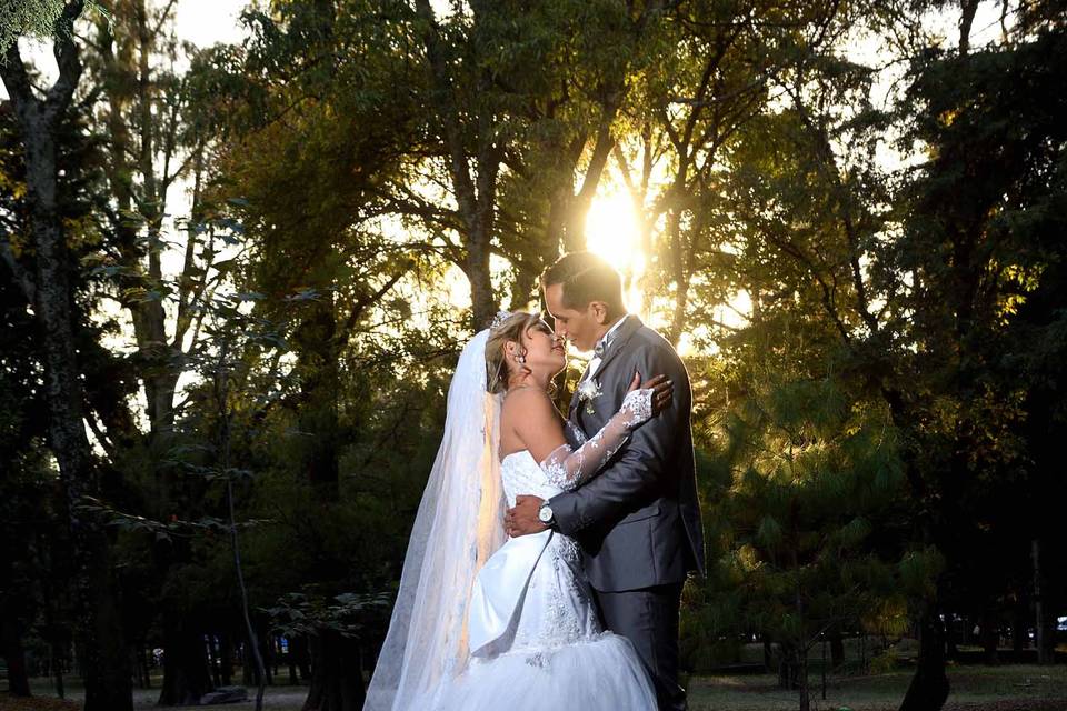 Trash the dress