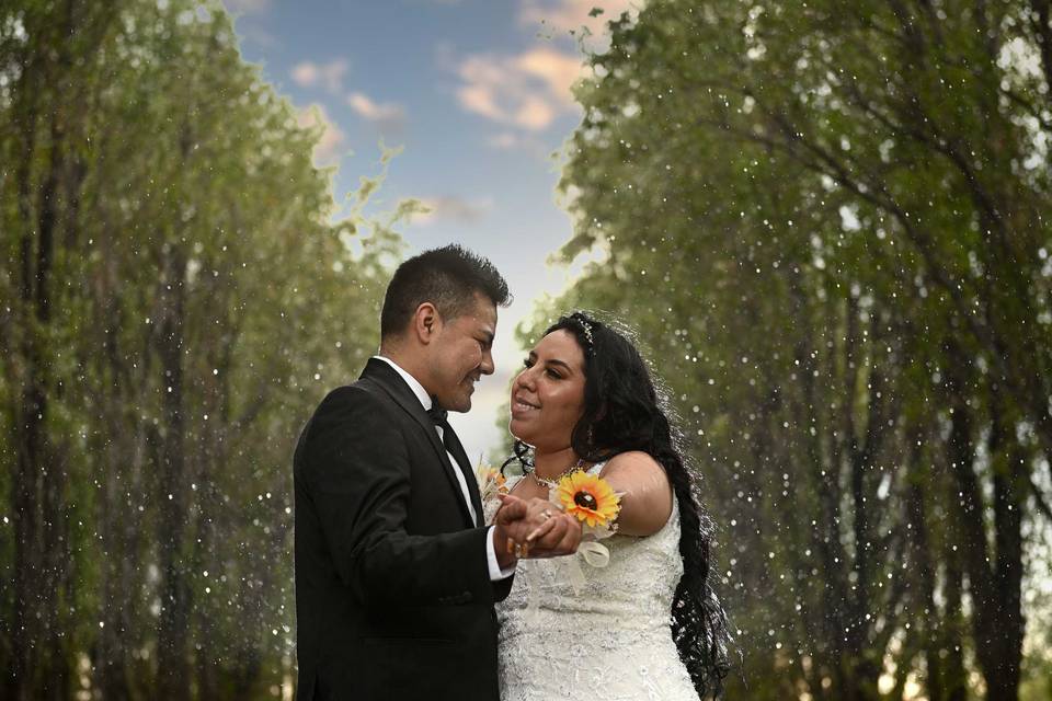 Trash the dress