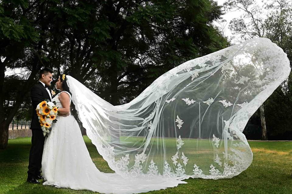 Trash the dress