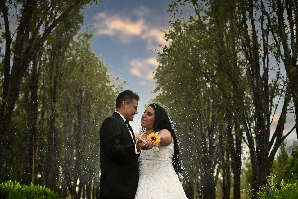 Trash the dress