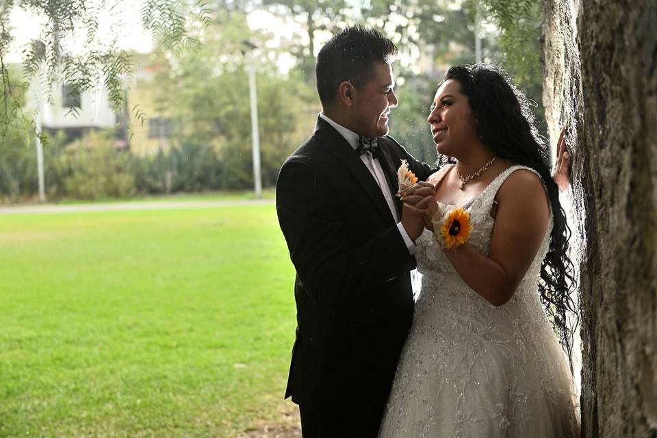 Trash the dress