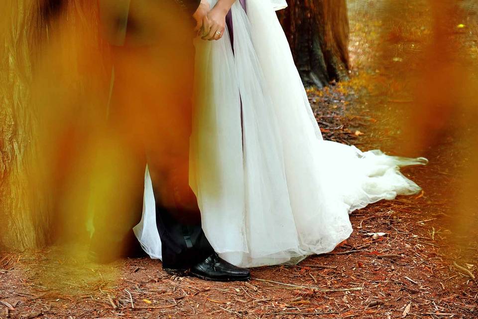 Trash the dress