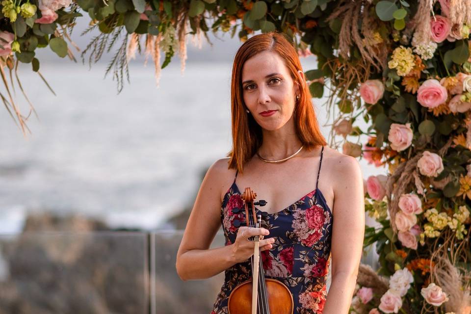 Violinista