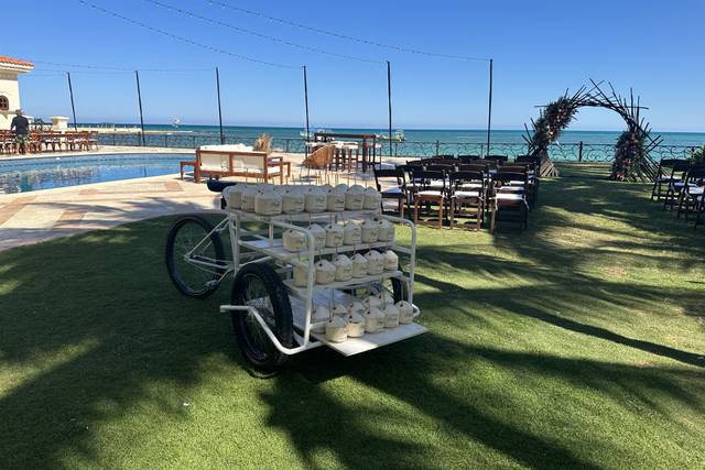 Carrito de cocos en el jardín