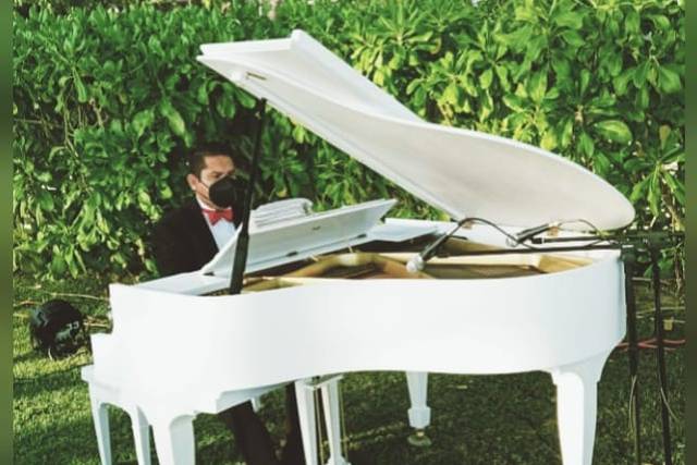 Pianista solista
