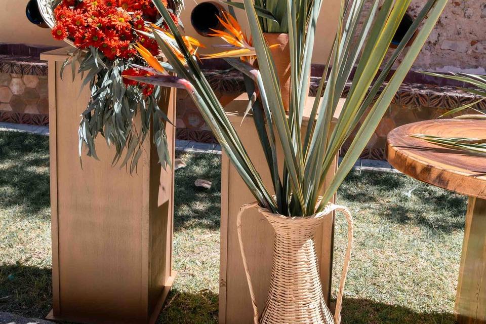 Detalles naturalmente elegante