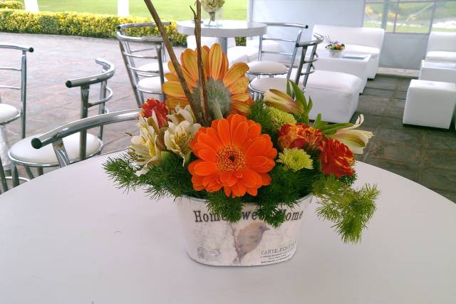 Pequeñitos y hermosos