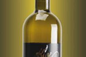 Chardonnay Oblige vino blanco