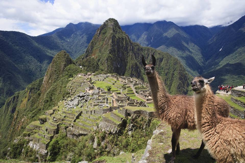 Machu Picchu