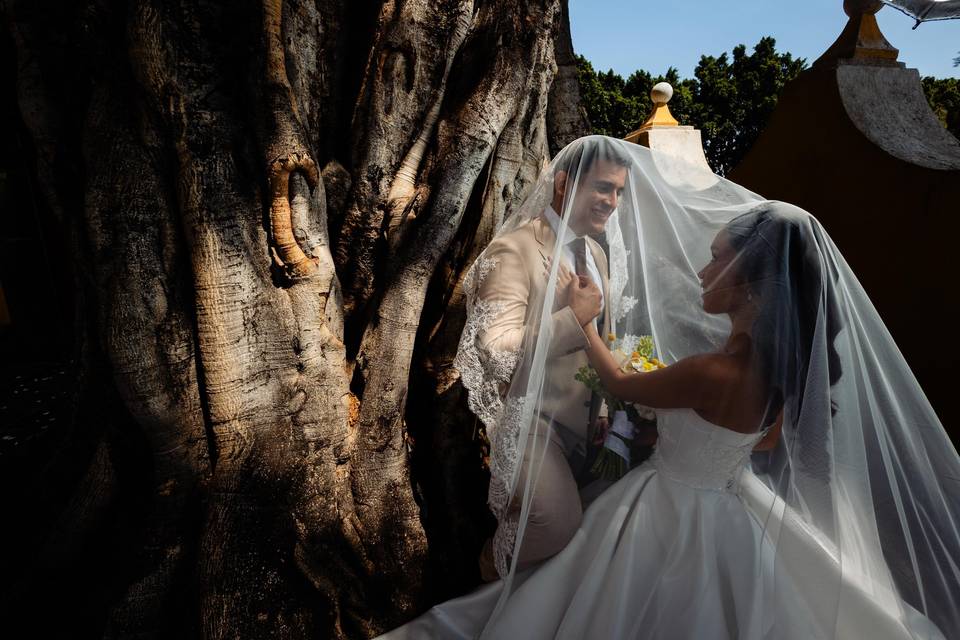 Novios