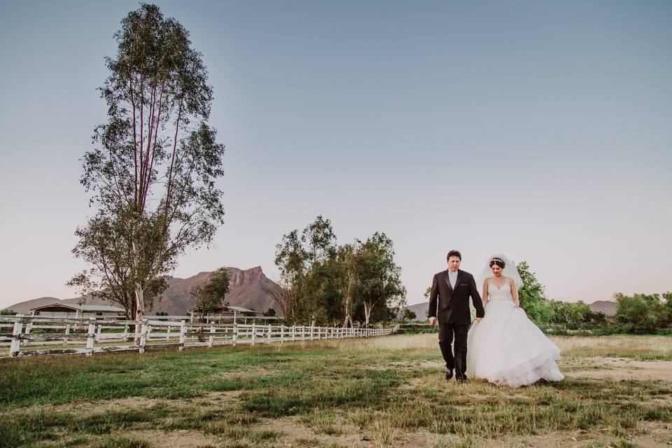 Sesión de boda