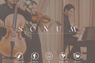 Sonum
