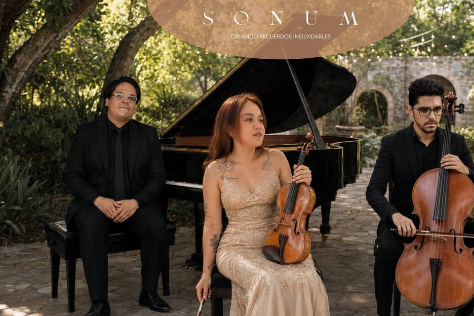 Sonum
