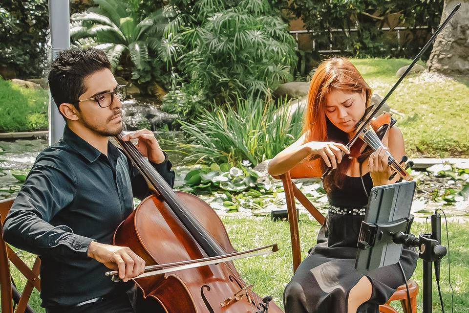 Dueto Violin & Cello